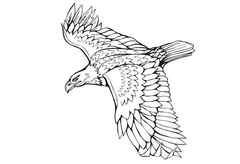 艺术设计(平面设计与制作方向)