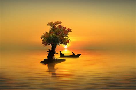 摄影与摄像艺术