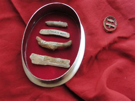 文物与博物馆学