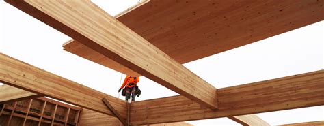 木材科学与工程