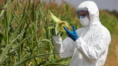 农产品质量检测