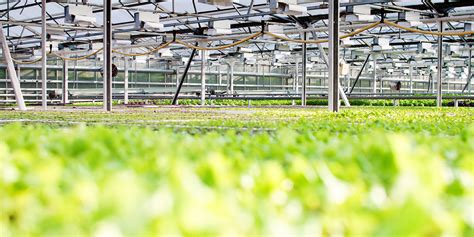 设施农业科学与工程