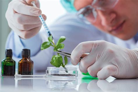 生物技术及应用