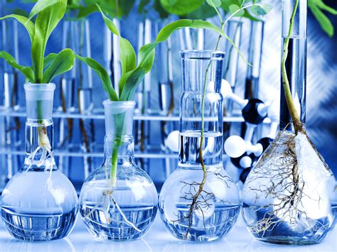 植物科学与技术