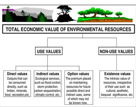 环境资源与发展经济学