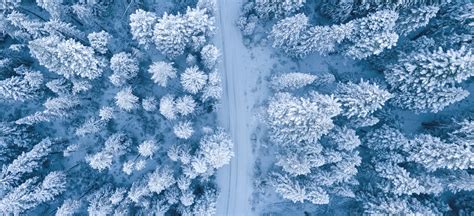 社会体育指导与管理