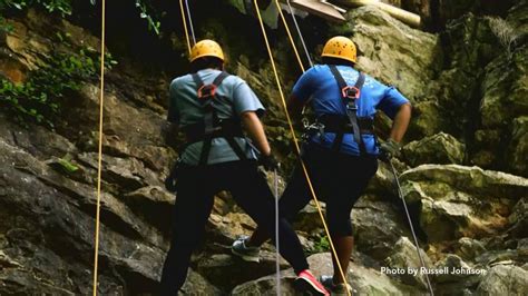 森林资源保护与游憩