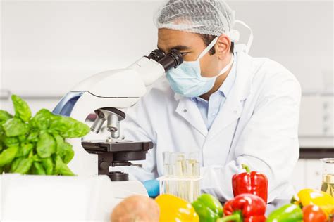 食品科学与工程