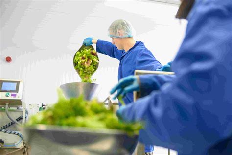 食品质量与安全