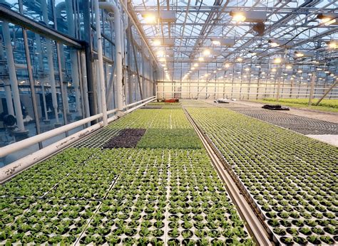 设施农业科学与工程