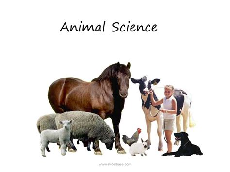 动物科学