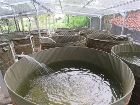 水产养殖类