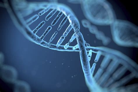 生物信息学
