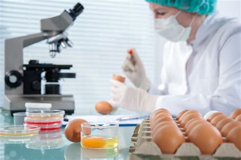 食品科学与工程