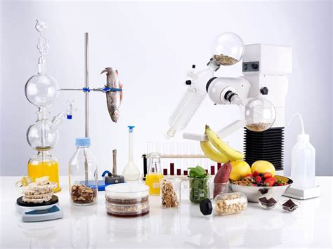 食品科学与工程