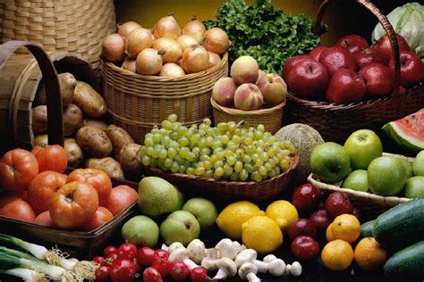 果蔬花卉生产技术