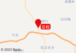 总校