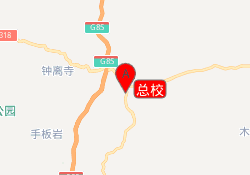 总校