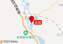 总校