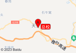 总校