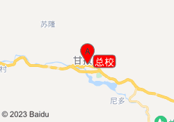 总校