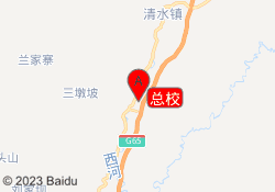 总校