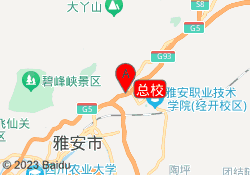 总校