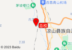总校