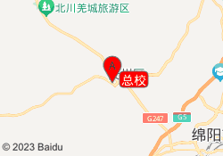 总校