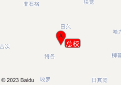 总校