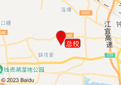 总校