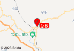 总校