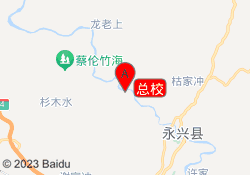 总校