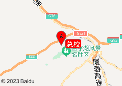 总校