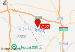 总校