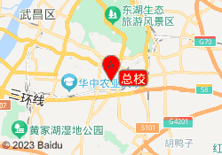 总校