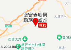 总校