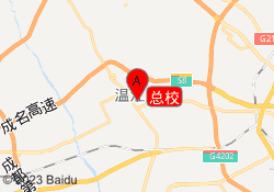 总校