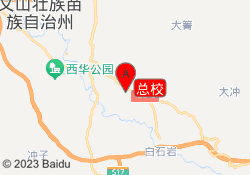 总校
