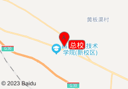 总校