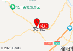 总校