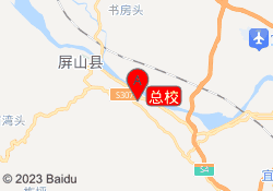 总校