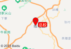 总校