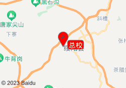 总校