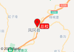 总校