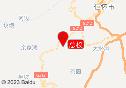 总校
