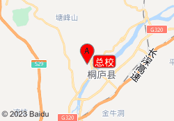 总校