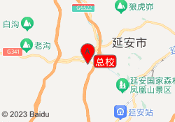 总校