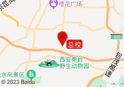 总校