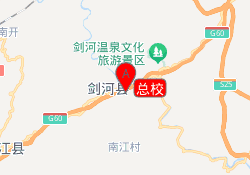 总校